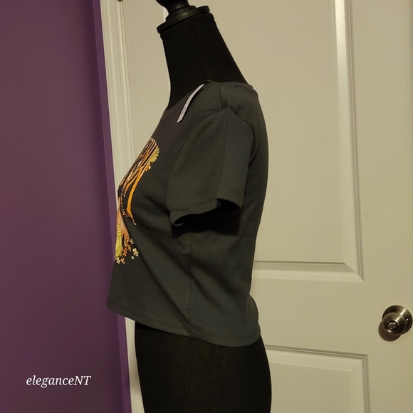 Gap Cropped Graphic Aretha Franklin Gray T-Shirt Sz: M NWT - Picture 3 of 7